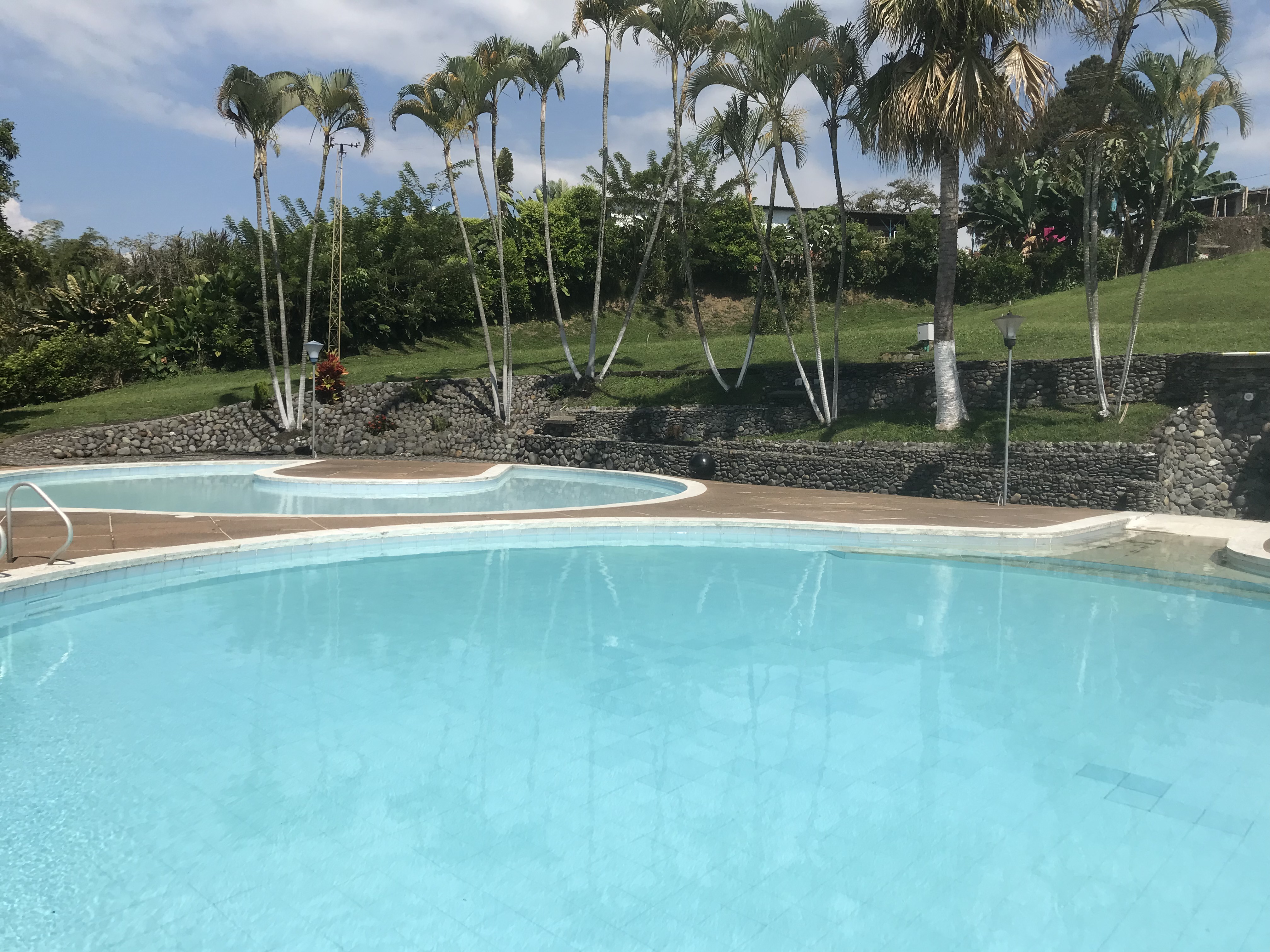 Zona Húmeda - Detalle